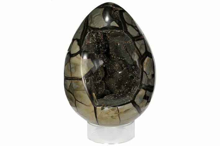 Septarian Dragon Egg Geode - Black Crystals #110880